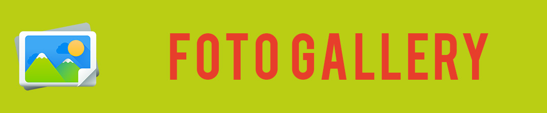 Tasto Gallery
